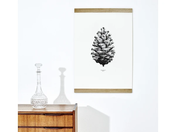 Poster PINE CONE - Black/White Wit 4 Poster PINE CONE - Black/White Wit - Afbeelding 2