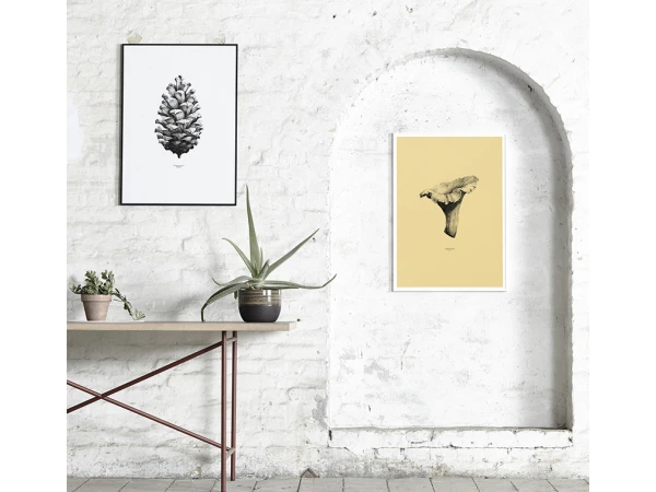 Poster PINE CONE - Black/White Wit 5 Poster PINE CONE - Black/White Wit - Afbeelding 3