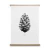 Poster PINE CONE - Black/White Wit -BergHOFF || Zuiver Verkoopwinkel 12670 deba meubelen decoratie paper collective nature 1 1 pine cone
