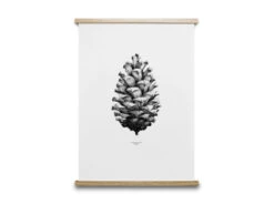 Poster PINE CONE - Black/White Wit