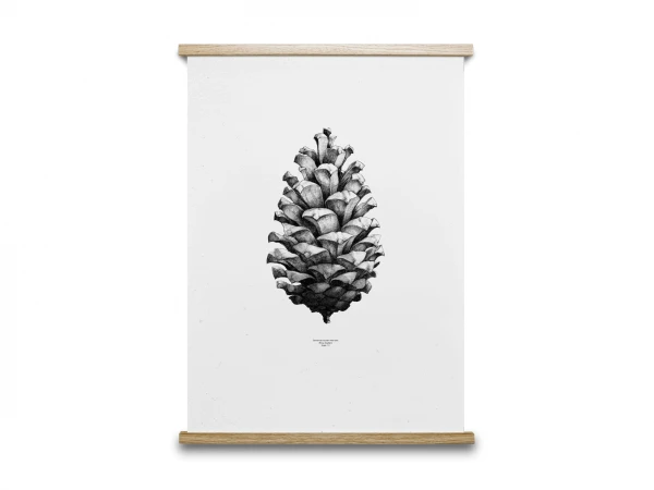 Poster PINE CONE - Black/White Wit 3 Poster PINE CONE - Black/White Wit