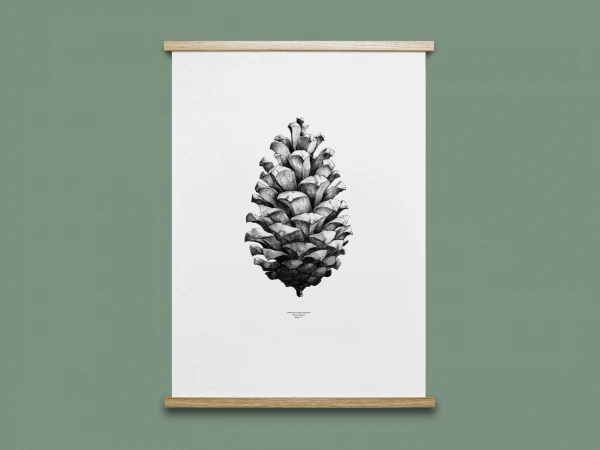 Poster PINE CONE - Black/White Wit 6 Poster PINE CONE - Black/White Wit - Afbeelding 4