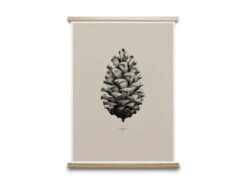Poster PINE CONE - Sand Beige