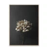 Poster STILL LIFE HYDRANGEA Beige -BergHOFF || Zuiver Verkoopwinkel 12698 deba meubelen decoratie paper collective still life