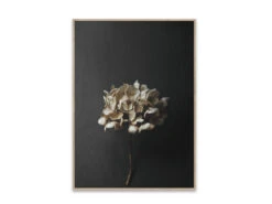 Poster STILL LIFE HYDRANGEA Beige