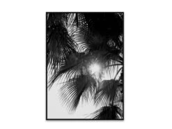 Poster PALM TREES Wit