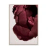 Poster PEONIA 02 Rood -BergHOFF || Zuiver Verkoopwinkel 12746 deba meubelen decoratie paper collective peonia