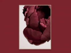 Poster PEONIA 02 Rood -BergHOFF || Zuiver Verkoopwinkel 12747 deba meubelen decoratie paper collective peonia