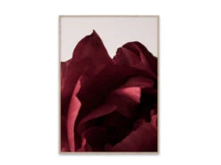 Poster PEONIA 03 Rood