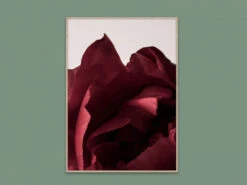 Poster PEONIA 03 Rood -BergHOFF || Zuiver Verkoopwinkel 12750 deba meubelen decoratie paper collective peonia