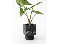 Zelfwaterende Plantenpot 12 Cm HAPI - Zwart Zwart