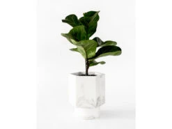 Zelfwaterende Plantenpot 12 Cm HAPI - Wit Wit