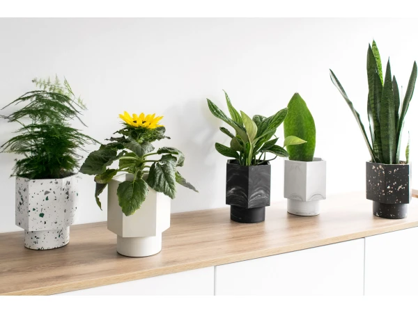 Zelfwaterende Plantenpot 12 Cm HAPI - Zwart Zwart 7 Zelfwaterende Plantenpot 12 Cm HAPI - Zwart Zwart - Afbeelding 5