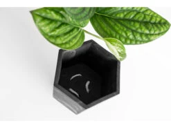 Zelfwaterende Plantenpot 12 Cm HAPI - Zwart Zwart 20 Zelfwaterende Plantenpot 12 Cm HAPI - Zwart Zwart -BergHOFF || Zuiver Verkoopwinkel boutique botanique 39624