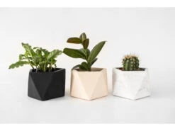 Plantenpot 8,5 Cm MARE - White Marble Wit -BergHOFF || Zuiver Verkoopwinkel boutique botanique 39630