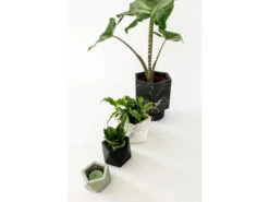 Plantenpot 8,5 Cm MARE - White Marble Wit -BergHOFF || Zuiver Verkoopwinkel boutique botanique 39631