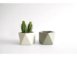 Plantenpot 8,5 Cm MARE - Silver Green Beige -BergHOFF || Zuiver Verkoopwinkel boutique botanique 39641