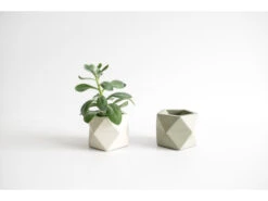 Plantenpot Ø5,5 Cm PALUA - Olive Green Groen -BergHOFF || Zuiver Verkoopwinkel boutique botanique 39880