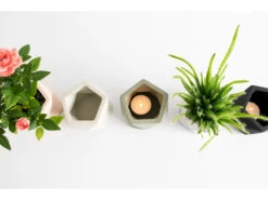 Plantenpot Ø5,5 Cm PALUA - Olive Green Groen -BergHOFF || Zuiver Verkoopwinkel boutique botanique 39883