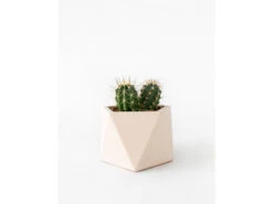 Plantenpot 8,5 Cm MARE - Millennial Pink Roze