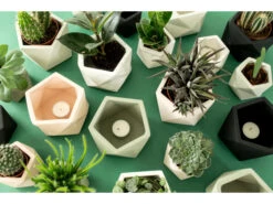 Plantenpot 8,5 Cm MARE - Millennial Pink Roze -BergHOFF || Zuiver Verkoopwinkel boutique botanique mare 39658