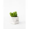 Plantenpot 5,5 Cm MARE - White Marble Wit -BergHOFF || Zuiver Verkoopwinkel boutique botanique mare 39664