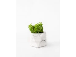 Plantenpot 5,5 Cm MARE - White Marble Wit