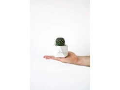 Plantenpot 5,5 Cm MARE - White Marble Wit -BergHOFF || Zuiver Verkoopwinkel boutique botanique mare 39667