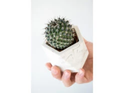 Plantenpot 5,5 Cm MARE - White Marble Wit -BergHOFF || Zuiver Verkoopwinkel boutique botanique mare 39669