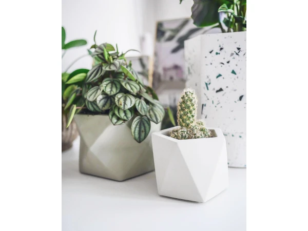 Plantenpot 5,5 Cm MARE - Silver Green Beige 4 Plantenpot 5,5 Cm MARE - Silver Green Beige - Afbeelding 2