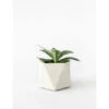 Plantenpot 5,5 Cm MARE - Silver Green Beige -BergHOFF || Zuiver Verkoopwinkel boutique botanique mare 39674