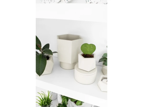 Plantenpot 5,5 Cm MARE - Silver Green Beige 5 Plantenpot 5,5 Cm MARE - Silver Green Beige - Afbeelding 3
