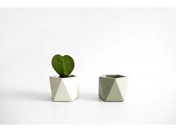 Plantenpot 5,5 Cm MARE - Silver Green Beige 6 Plantenpot 5,5 Cm MARE - Silver Green Beige - Afbeelding 4