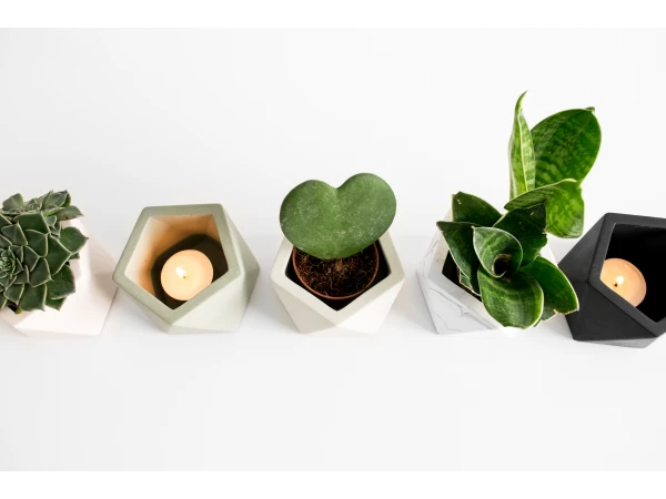 Plantenpot 5,5 Cm MARE - Silver Green Beige 7 Plantenpot 5,5 Cm MARE - Silver Green Beige - Afbeelding 5