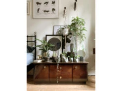 Plantenpot 5,5 Cm MARE - Olive Green Groen -BergHOFF || Zuiver Verkoopwinkel boutique botanique mare 39685