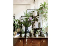 Plantenpot 5,5 Cm MARE - Olive Green Groen -BergHOFF || Zuiver Verkoopwinkel boutique botanique mare 39686