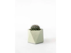 Plantenpot 5,5 Cm MARE - Olive Green Groen