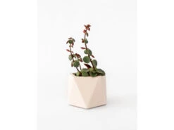 Plantenpot 5,5 Cm MARE - Millennial Pink Roze
