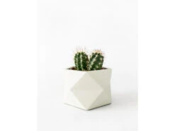 Plantenpot 8,5 Cm PALUA - Silver Green Beige