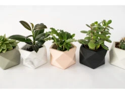 Plantenpot 8,5 Cm PALUA - Silver Green Beige -BergHOFF || Zuiver Verkoopwinkel boutique botanique palua 39840