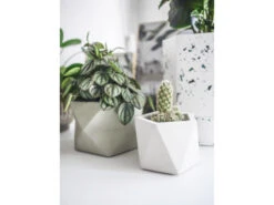 Plantenpot 8,5 Cm PALUA - Olive Green Groen -BergHOFF || Zuiver Verkoopwinkel boutique botanique palua 39842