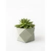Plantenpot 8,5 Cm PALUA - Olive Green Groen -BergHOFF || Zuiver Verkoopwinkel boutique botanique palua 39848