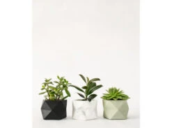 Plantenpot 8,5 Cm PALUA - Olive Green Groen -BergHOFF || Zuiver Verkoopwinkel boutique botanique palua 39852