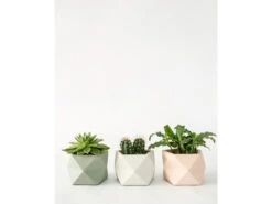 Plantenpot 8,5 Cm PALUA - Olive Green Groen -BergHOFF || Zuiver Verkoopwinkel boutique botanique palua 39853