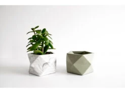 Plantenpot 8,5 Cm PALUA - Olive Green Groen -BergHOFF || Zuiver Verkoopwinkel boutique botanique palua 39857