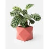 Plantenpot 8,5 Cm PALUA - Pomegranate Roze -BergHOFF || Zuiver Verkoopwinkel boutique botanique palua 39859