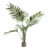 Kunstplant KENTIA Groen -BergHOFF || Zuiver Verkoopwinkel coco maison 51404