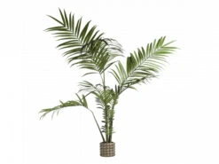 Kunstplant KENTIA Groen