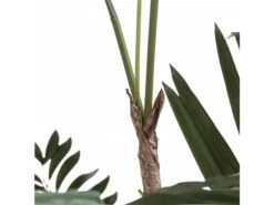 Kunstplant KENTIA Groen -BergHOFF || Zuiver Verkoopwinkel coco maison 51407