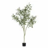 Plant Groen -BergHOFF || Zuiver Verkoopwinkel coco maison eucalypthus 48896